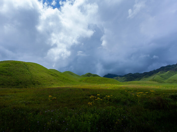 Dzukou Valley, Nagaland